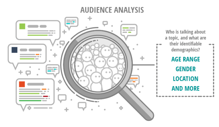 Audience Analysis