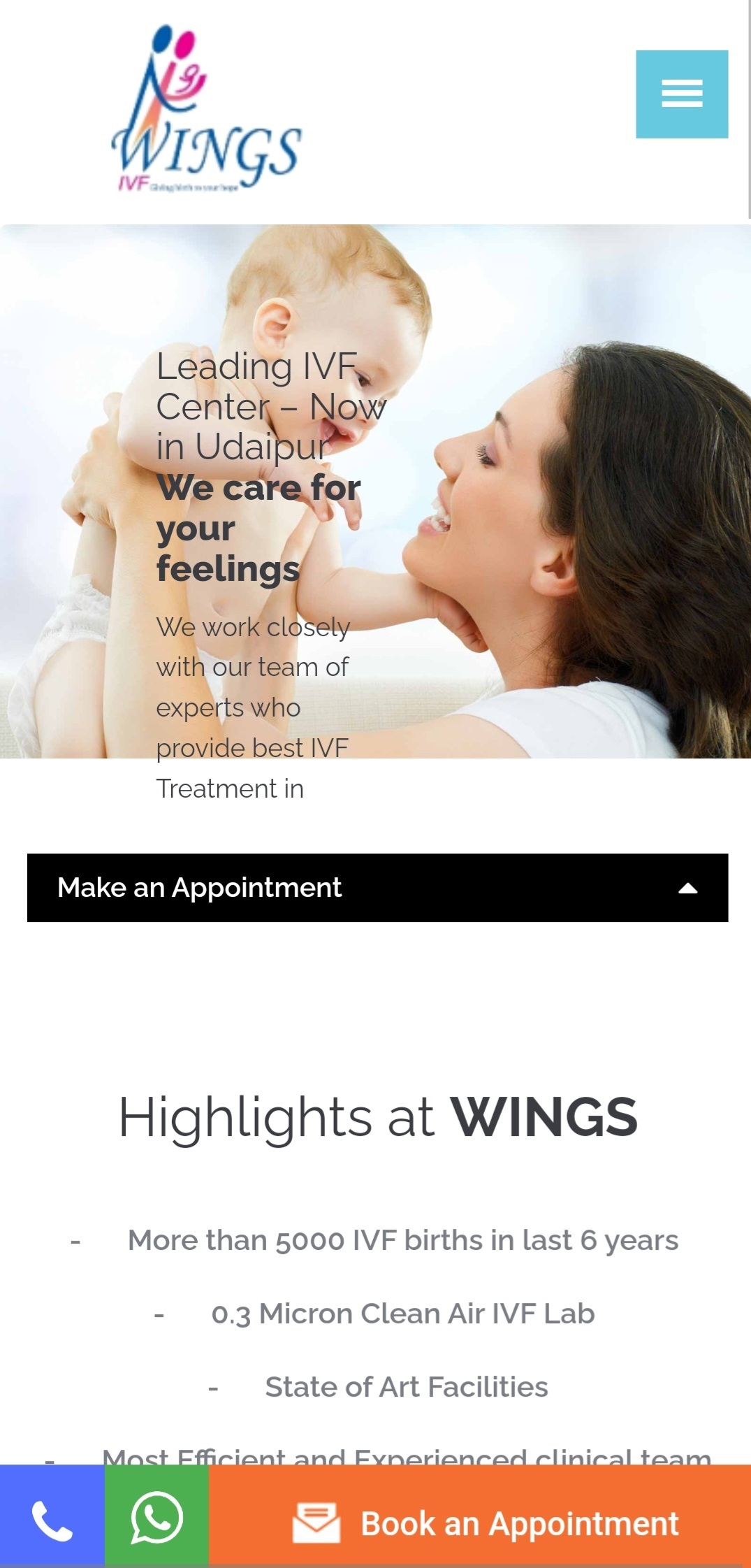 Wings Udaipur Website Homepage