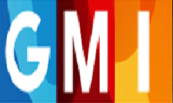 Global Media Insight Global Media Insight