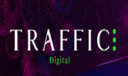 Traffic Digital Traffic Digital