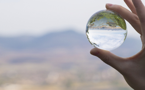 Transparency Transparency