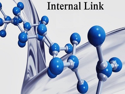 Internal Link Internal Link