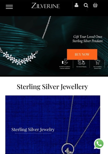 Zilverine.com – SEO & Digital Marketing Case Study