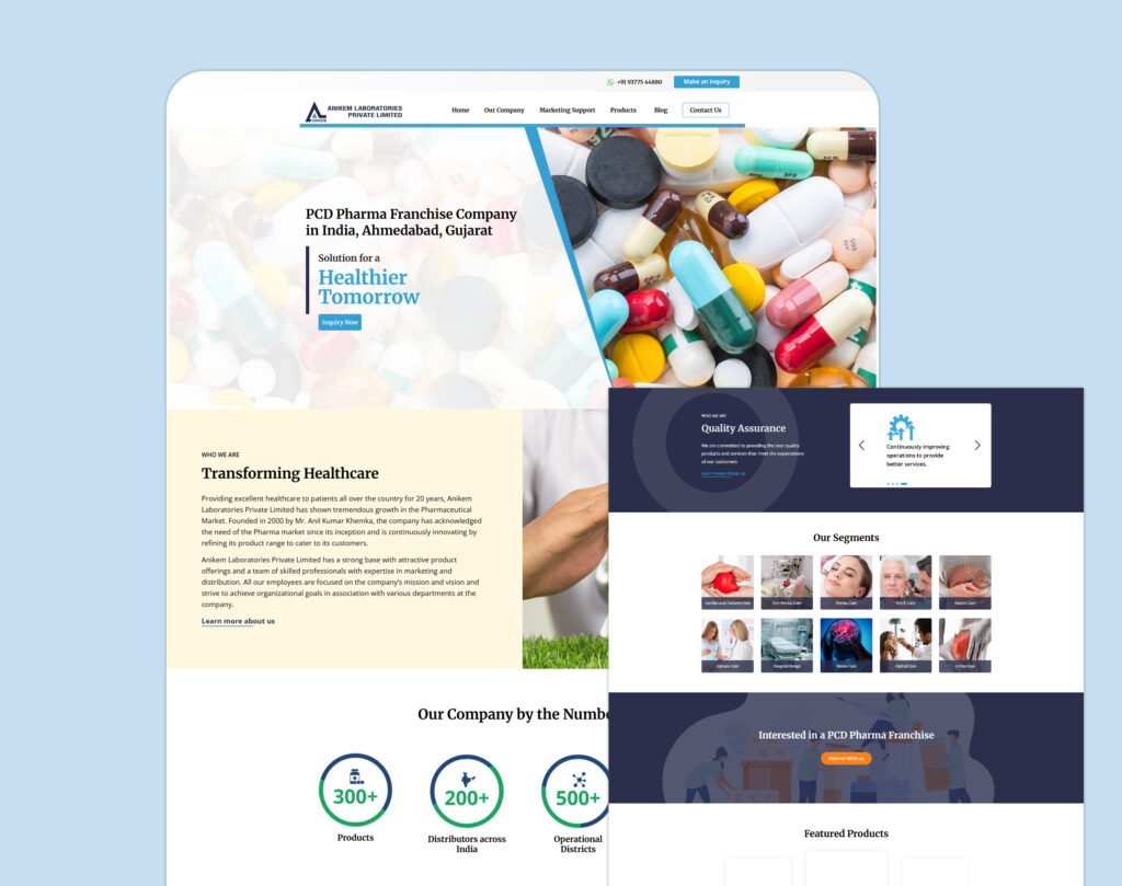 Anikemlabs - SEO and Digital Marketing Case Study