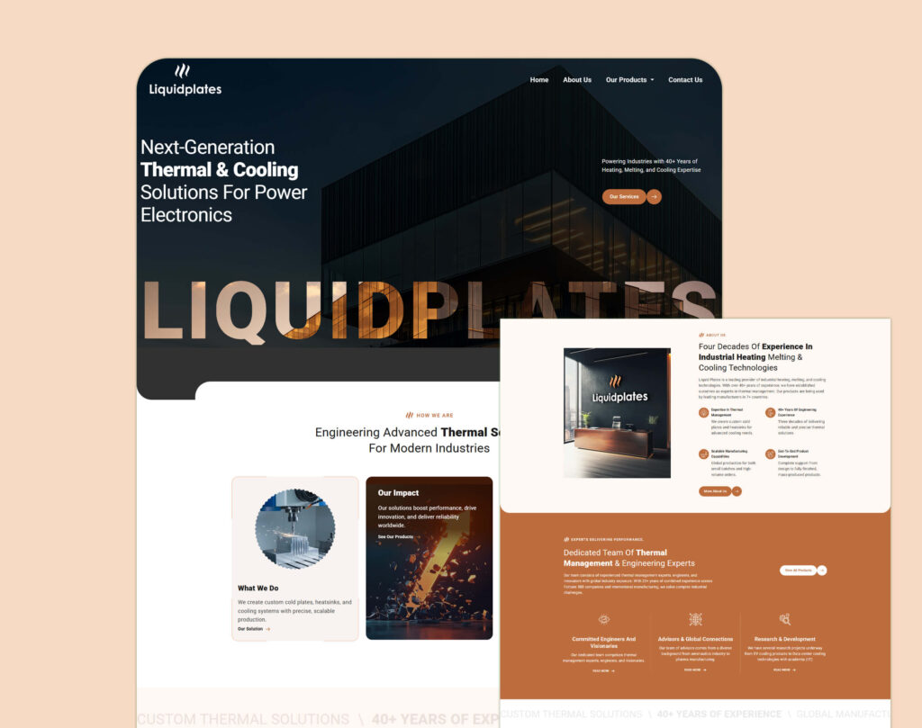 Liquid Plates Website Development & Branding Case Study